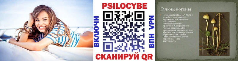 Купить закладки  Курганинск  Псилоцибиновые грибы Magic Shrooms 